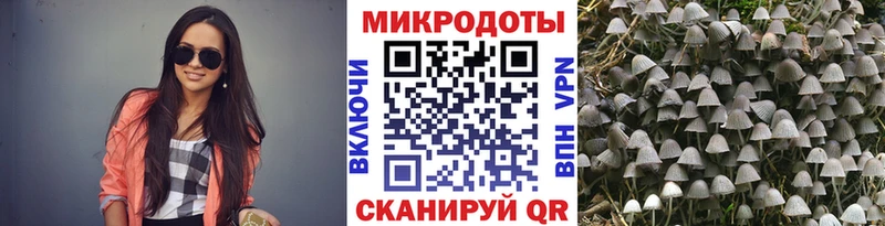 Галлюциногенные грибы ЛСД  гидра ссылка  Усть-Илимск 